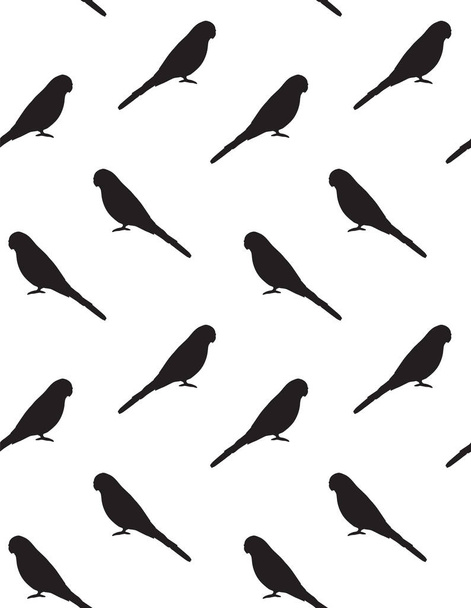 Vector seamless pattern of black budgie silhouette - Vettoriali, immagini