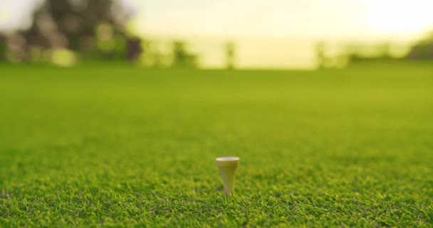 Golfista mettendo pallina da golf sul tee al campo da golf. Primo piano. - Filmati, video
