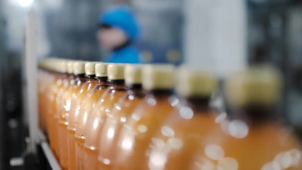 Bira dolu plastik şişeler bira fabrikasının konveyör hattı boyunca ilerler.. - Video, Çekim