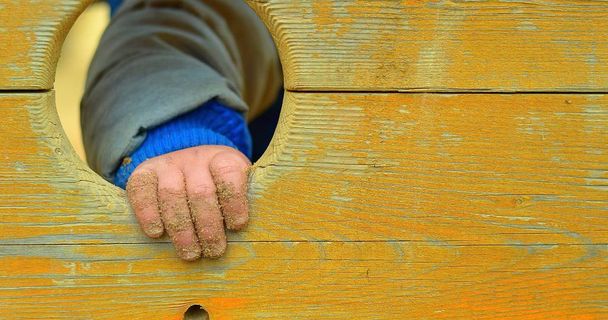 Mão de menino pequeno no velho buraco de madeira. Conceito de criança
. - Foto, Imagem