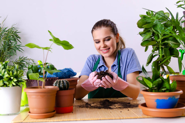 молода жінка садівник з рослинами в приміщенні
 - Фото, зображення