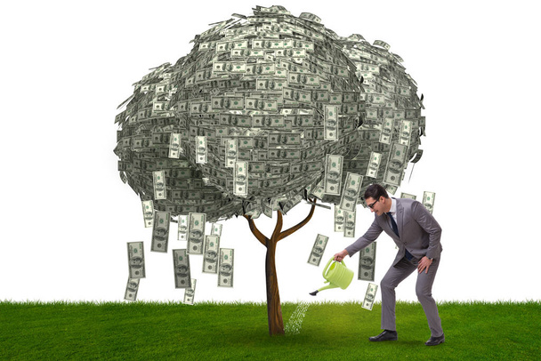 Üzletember öntözés pénzfa beruházási koncepció - Fotó, kép