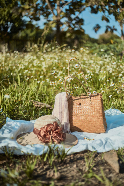 Summertime picnic setting on the grass - Photo, Image