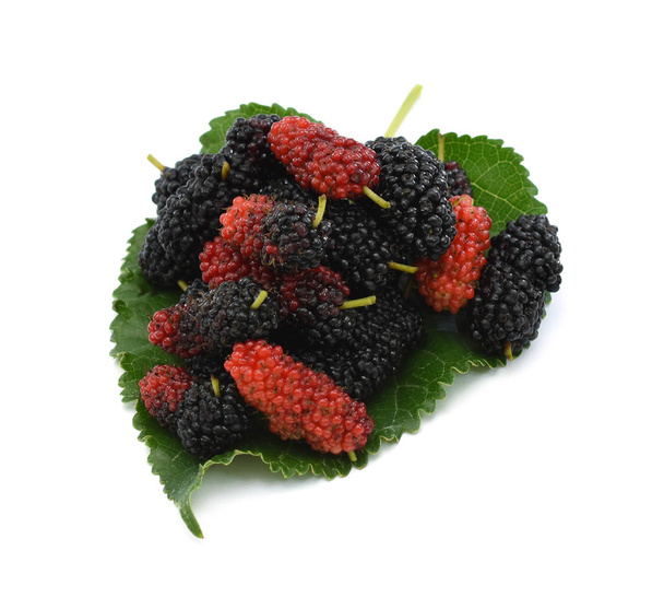 Frutas de amoreira na folha, isoladas no fundo branco
 - Foto, Imagem