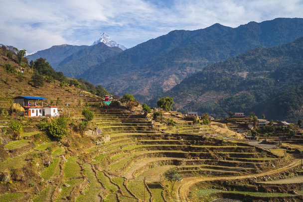táj nepal közel pokhara halfarok csúcs - Fotó, kép