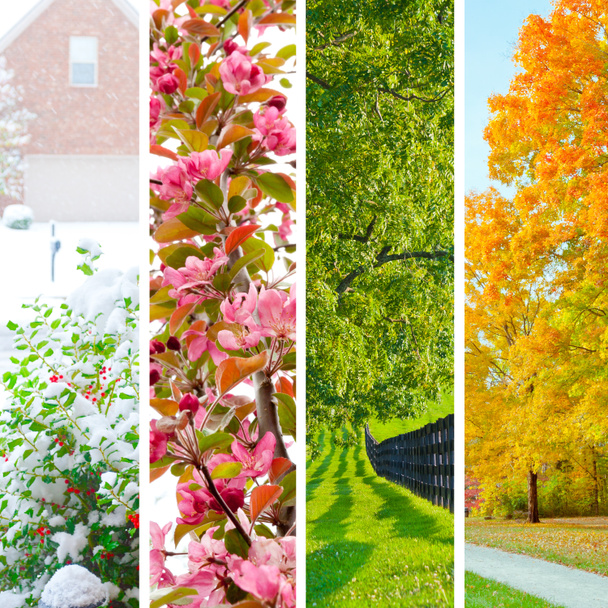 Four seasons collage - Photo, Image