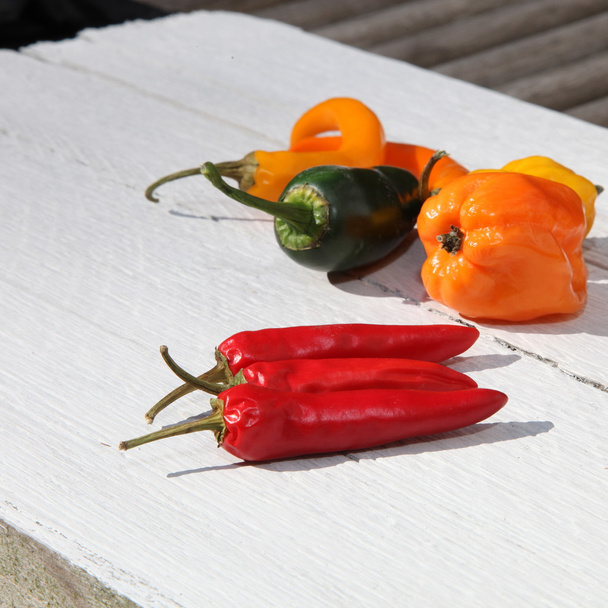 Red hot chilli peppers - Фото, зображення