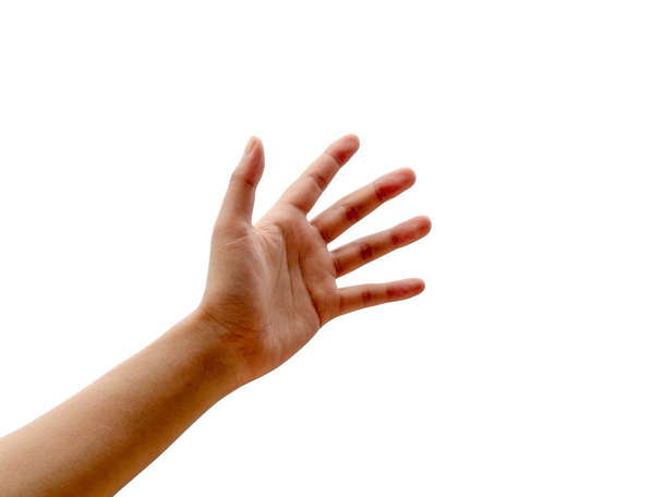 Χέρι νεαρής γυναίκας. Άδειο χέρι απλώστε το χέρι ή κρατήστε το απομονωμένο σε λευκό φόντο. Βοήθεια και ελπίδα χέρι έννοια. - Φωτογραφία, εικόνα
