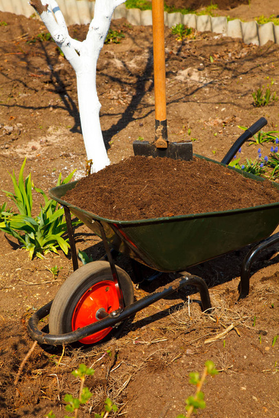 Wheelbarrow in a garden - Photo, Image
