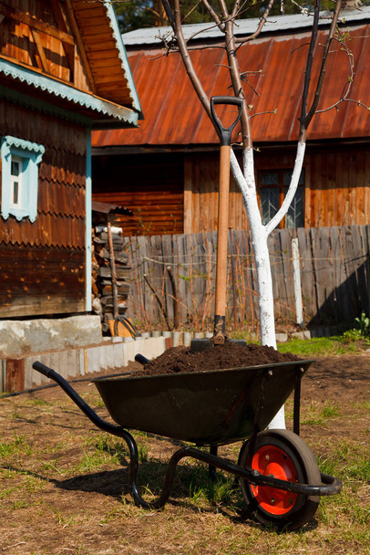 Carretilla de ruedas en un jardín - Foto, Imagen