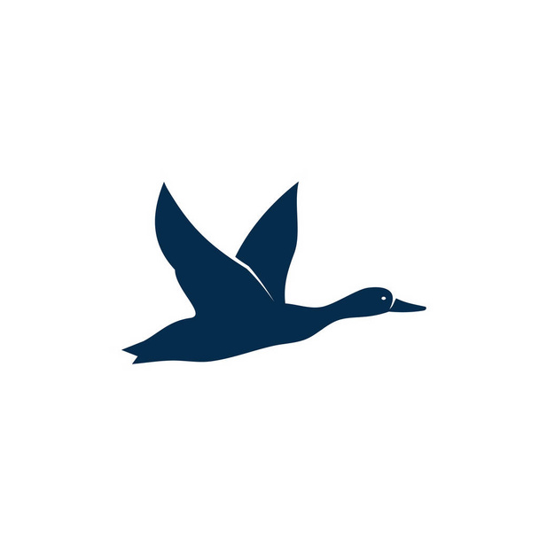 Pato voador aves de capoeira isoladas, gansos selvagens
 - Vetor, Imagem