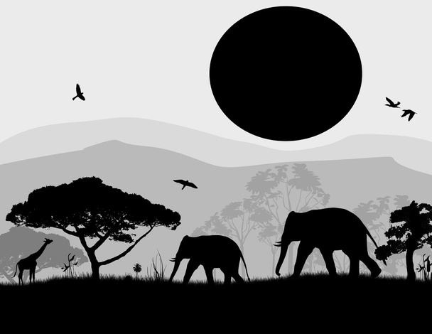 Wild elephants and giraffe at sunset - Vector, Image