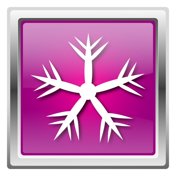 εικονίδιο νιφάδα χιονιού - Φωτογραφία, εικόνα