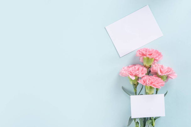 Beautiful, elegant pink carnation flower over bright light blue table background, concept of Mother's Day flower gift, top view, flat lay, overhead - 写真・画像