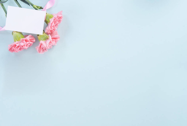 Linda, elegante flor de cravo rosa sobre fundo de mesa azul claro brilhante, conceito de presente de flor do Dia das Mães, vista superior, flat lay, sobrecarga
 - Foto, Imagem