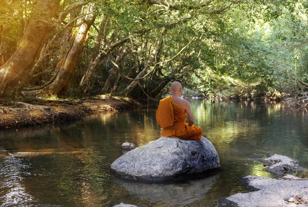 Buddha-Mönch praktiziert Meditation am Fluss im Wald  - Foto, Bild