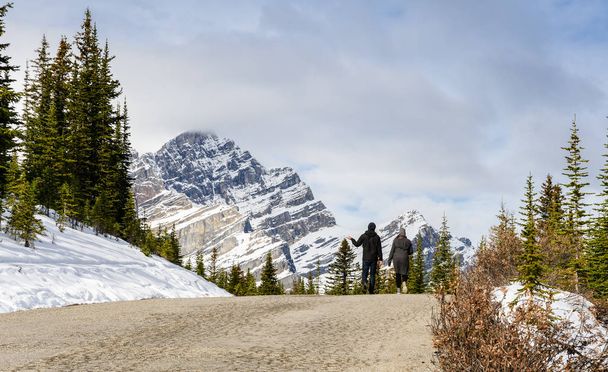 Piękna góra Canadian Rockies w Parku Narodowym Banff w Al - Zdjęcie, obraz