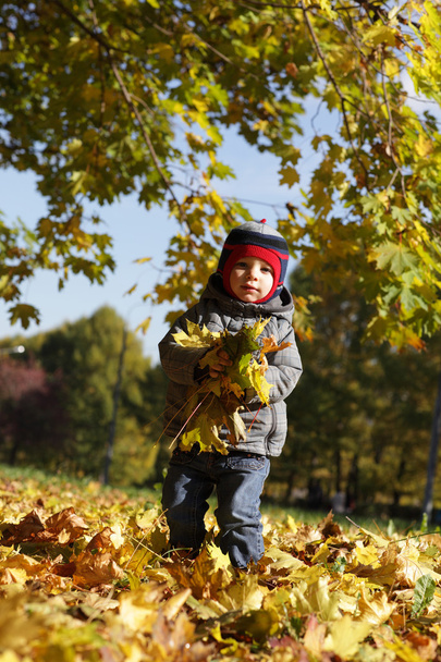 Child holding leaves - Valokuva, kuva