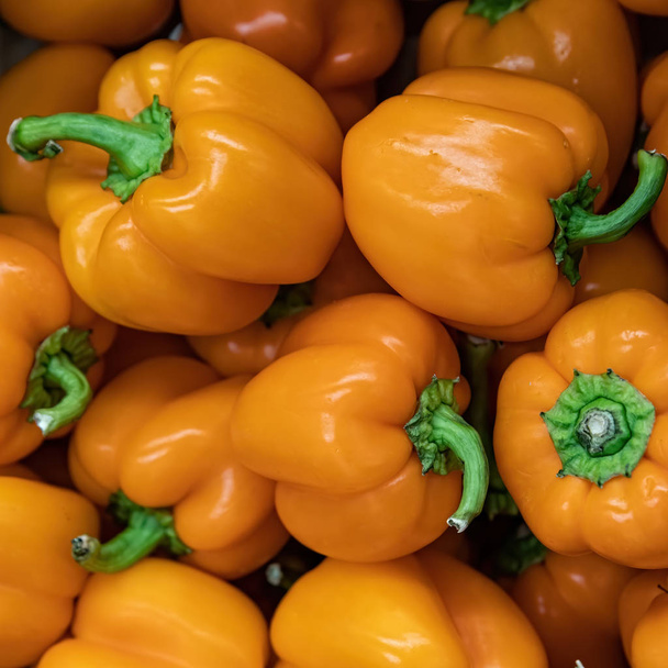 Παρτίδα πιπεριές στην αγορά - Φωτογραφία, εικόνα
