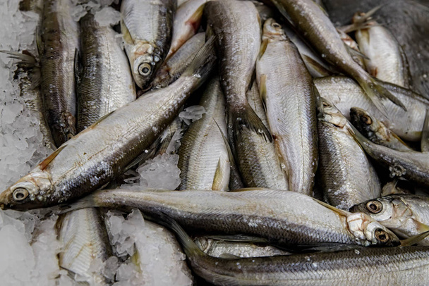 Pescado expuesto en el mercado de pescado para su venta al consumidor
 - Foto, Imagen