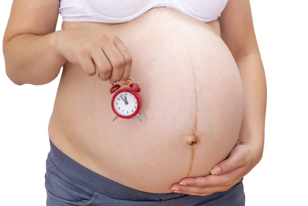 Pregnant woman holding alarm clock at belly on white  - Photo, Image