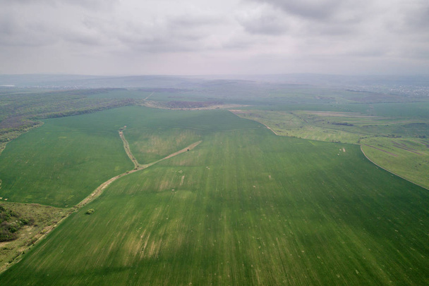 Воздушный вид зеленых сельскохозяйственных полей весной со свежими овощами
 - Фото, изображение