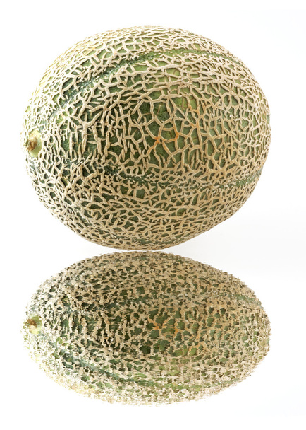 Melon with reflection - Photo, image