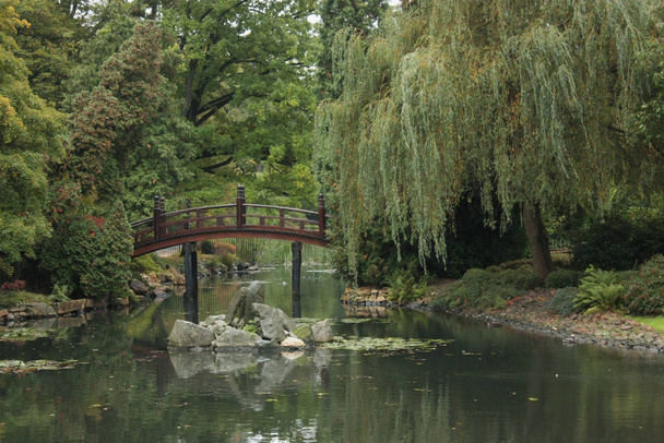 Japanischer Garten mit See, Witwe und Brücke in der polnischen Stadt Breslau - Foto, Bild