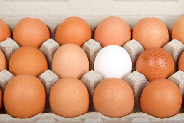Gros plan sur Carton d'œufs bruns avec un œuf blanc
.  - Photo, image