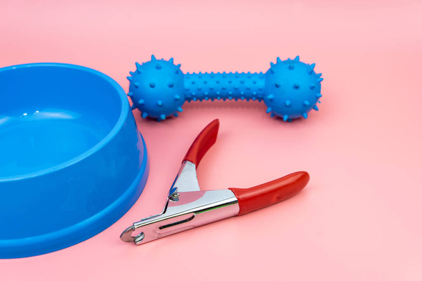 Концепция зоомагазина. Ножницы для ногтей, миски и игрушки
  - Фото, изображение