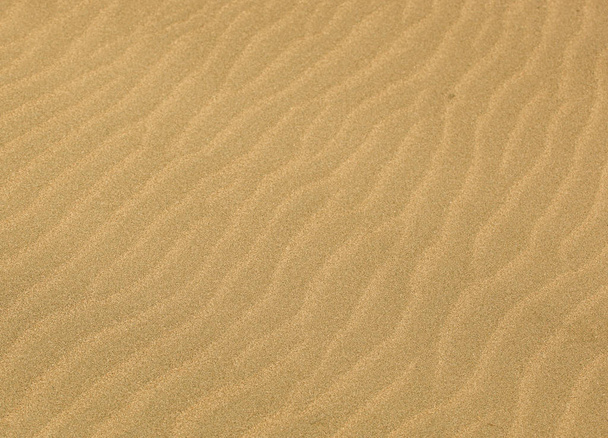 Gros plan sur la texture de fond du sable - Photo, image