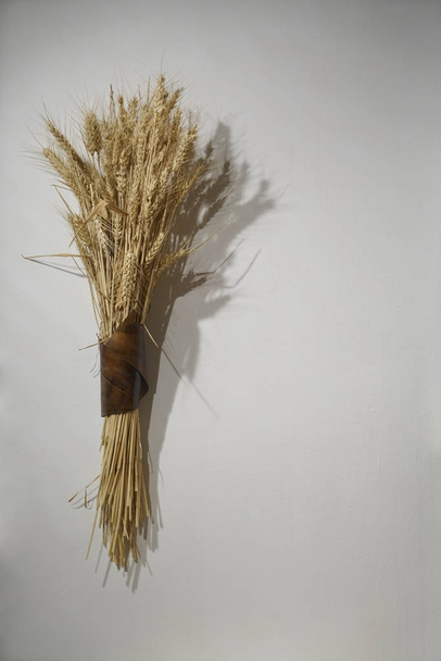 Wheat sheaf attached to a beam. wheat ears hanging on white wall - Foto, Imagem