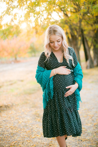 Linda mujer embarazada con cabello rubio camina en el parque de otoño al atardecer. Feliz maternidad. Embarazo de otoño
 - Foto, Imagen