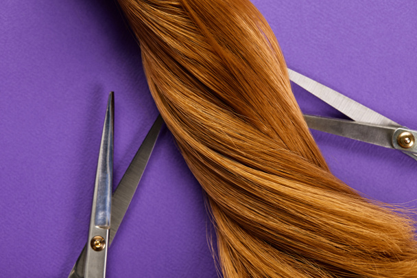 Vista superior de cabello castaño retorcido con tijeras sobre fondo morado
 - Foto, imagen