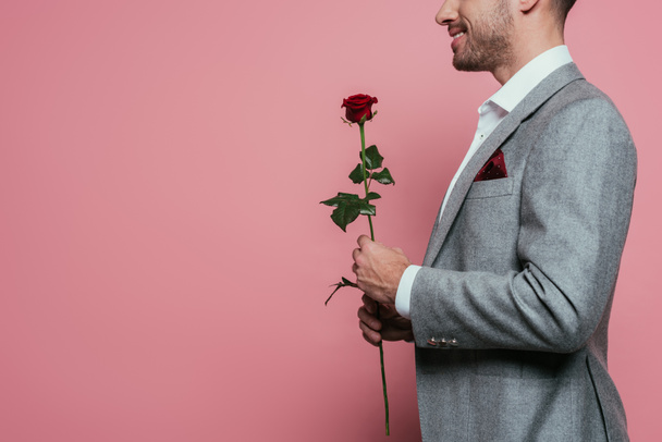 cropped view of man in suit holding red rose flower, isolated on pink - Φωτογραφία, εικόνα
