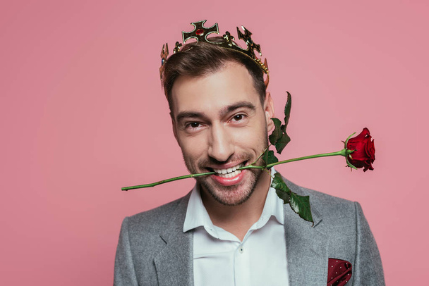 cheerful man in crown holding red rose in teeth, isolated on pink - Foto, afbeelding