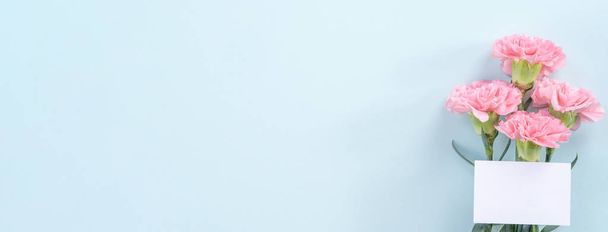 Linda, elegante flor de cravo rosa sobre fundo de mesa azul claro brilhante, conceito de presente de flor do Dia das Mães, vista superior, flat lay, sobrecarga
 - Foto, Imagem