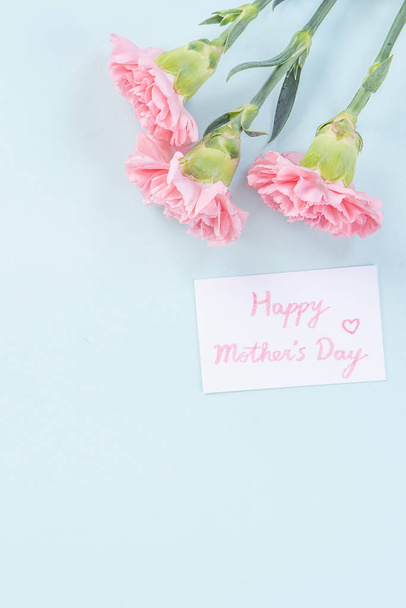 Beautiful, elegant pink carnation flower over bright light blue table background, concept of Mother's Day flower gift, top view, flat lay, overhead - Φωτογραφία, εικόνα