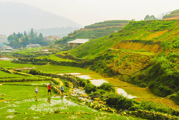 Caminata con guía Hmong en terrazas de arroz en la aldea Ma Cha por Sapa, Vietnam
  - Foto, Imagen