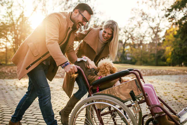 Beautiful disabled girl in wheelchair enjoying with her mother, father and dog outdoors in park. - Foto, Imagen