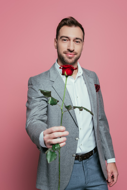 bearded positive man in suit holding red rose, isolated on pink - Photo, Image