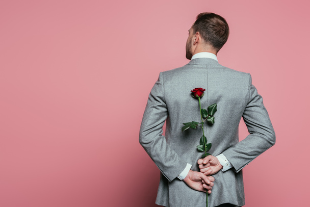 πίσω όψη του άνδρα με κοστούμι κρατώντας κόκκινο τριαντάφυλλο, απομονωμένο σε ροζ - Φωτογραφία, εικόνα