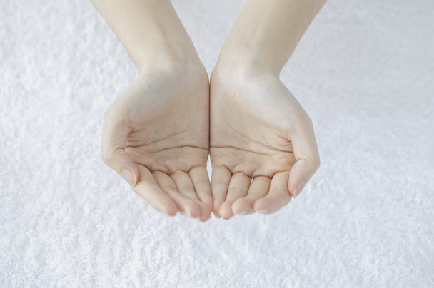 hands of woman on white background - Foto, Bild