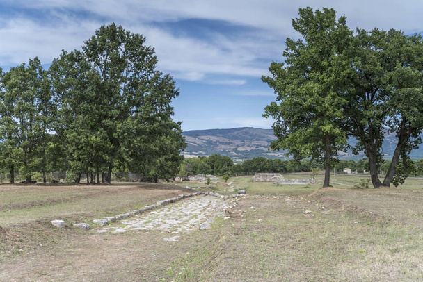 drzewa i kamienne pozostałości starożytnej rzymskiej brukowanej ulicy, Grumentu - Zdjęcie, obraz