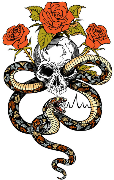 lebka, had a tetování růží - Vektor, obrázek