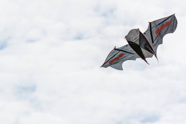 Beautiful bat shaped kite hovers in the sky. - Фото, зображення