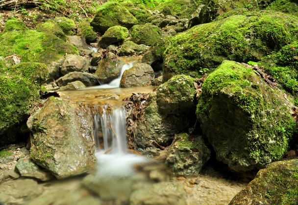 Oetschergraben, гірський водоспад (Мірафолл) поблизу Ечера в Австрії (Європа). - Фото, зображення