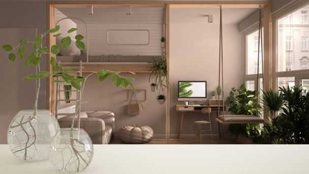Valkoinen pöytälevy tai hylly lasinen maljakko hydroponic kasvi, koriste, juuri kasvi vedessä, haara maljakko, talon kasvi, moderni studio huoneisto tausta, sisustus
 - Valokuva, kuva