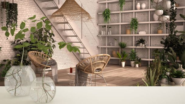 Witte tafelblad of plank met glazen vaas met hydrocultuur, ornament, wortel van plant in water, tak in vaas, huisplant, serre op de achtergrond, interieur - Foto, afbeelding