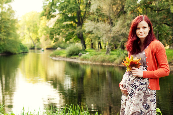 Beautiful pregnant woman walking in autumn park - Foto, Imagem